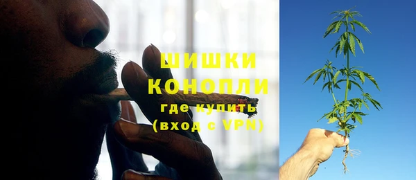 ALPHA PVP Белокуриха