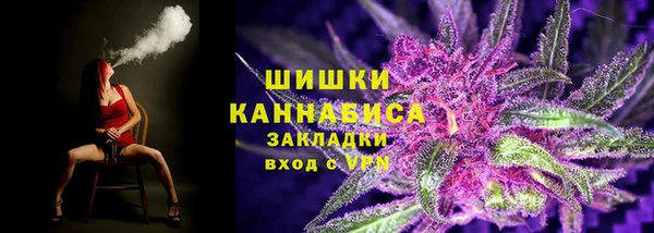 твердый Няндома