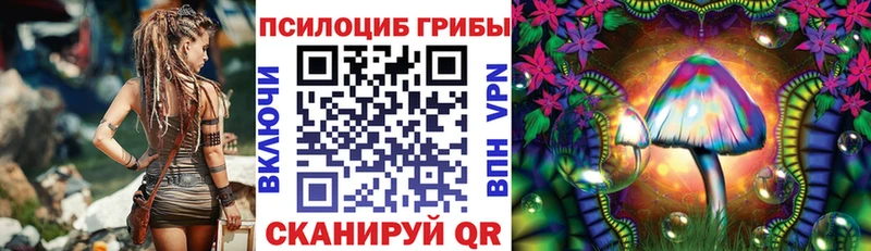 это как зайти  Бодайбо  Галлюциногенные грибы Magic Shrooms 